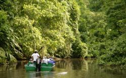 Guests explore the channels of Tortuguero